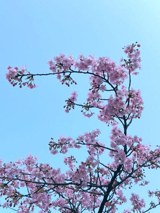 ありがとうございました♡♡